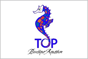 Theme Park - Top Boutique Aquarium